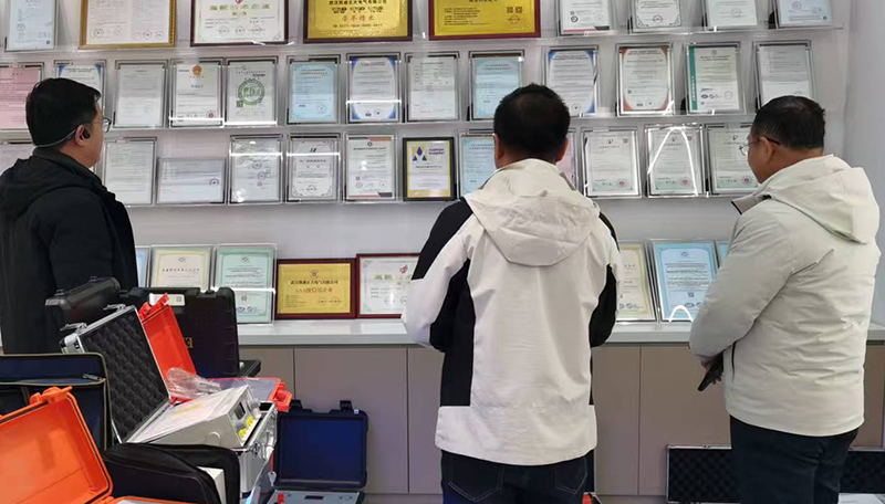 武漢雷科電力接待東莞客商考察配電設備